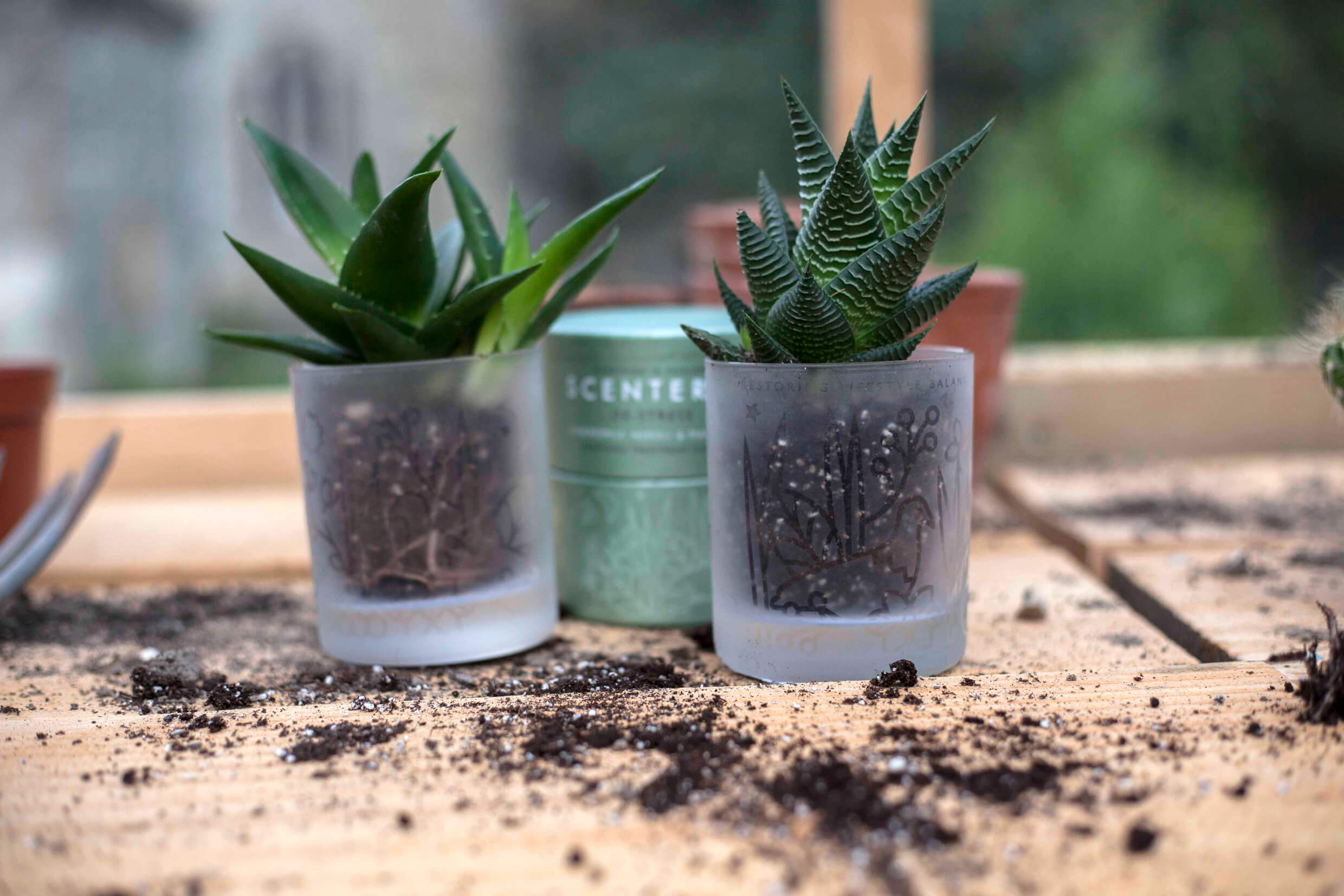 Re-use your packaging with Scentered