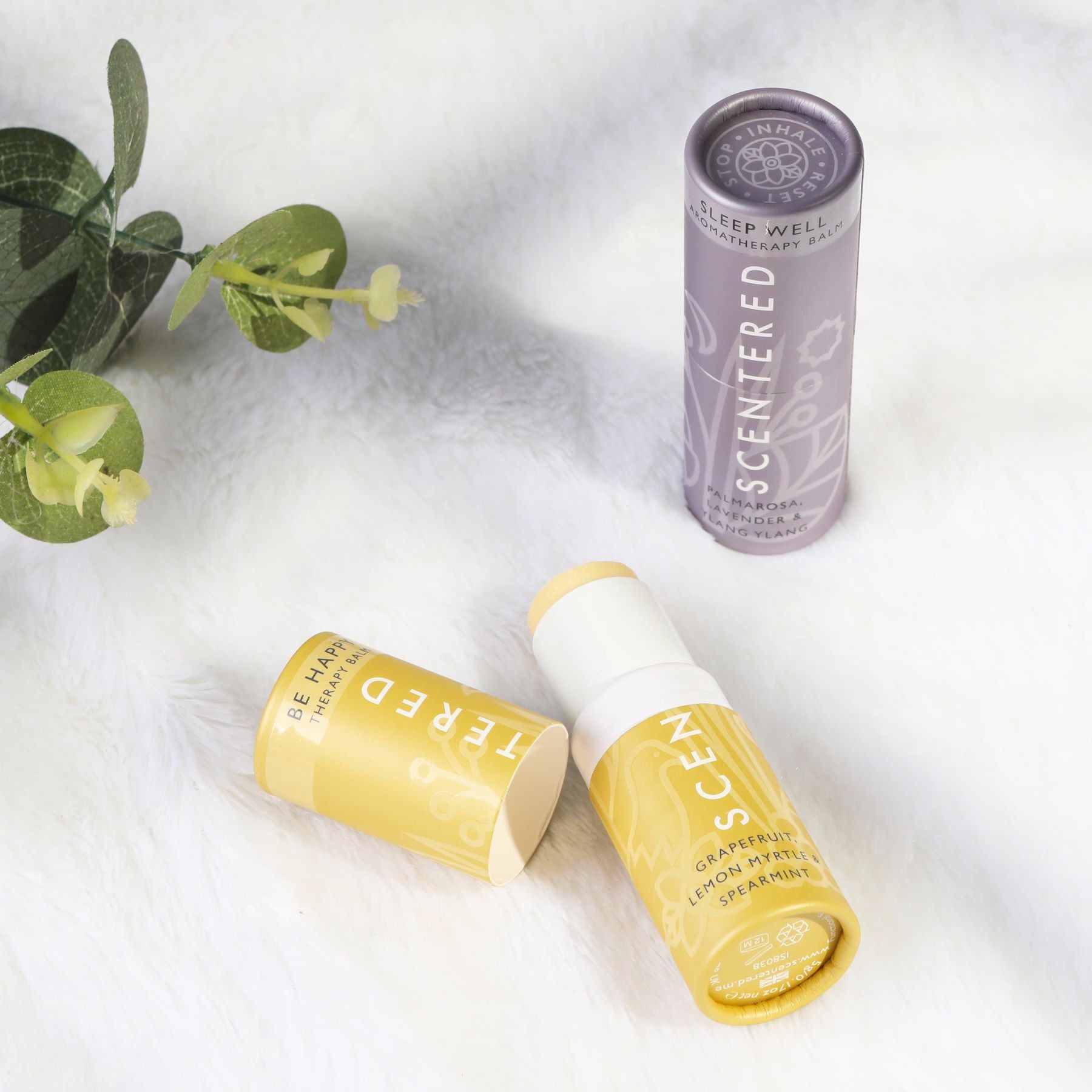 Scentered Happy and Sleep Well Aromatherapy Balms on textured white background with floral leaf.  A soothing blend of essential oils, perfect for relaxing before bedtime. Boost your mood with our Happy Aromatherapy Balm, designed to uplift and energize.